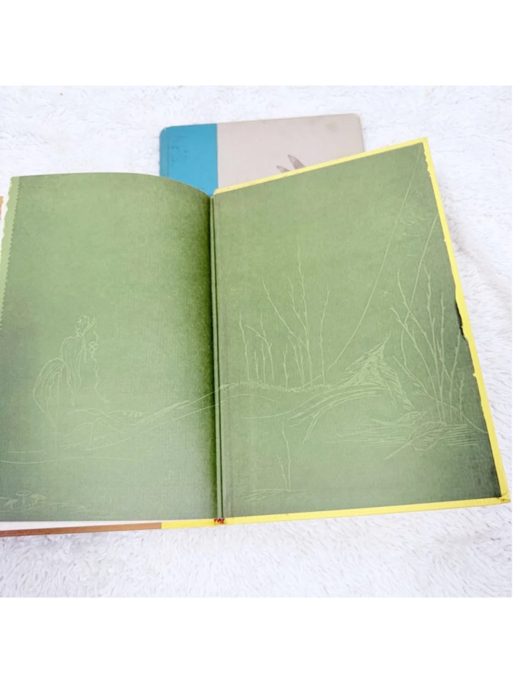 Vintage Gwen Frostic Book Lot Wing-Borne 1967 & A Place On Earth 1962 Illustrate